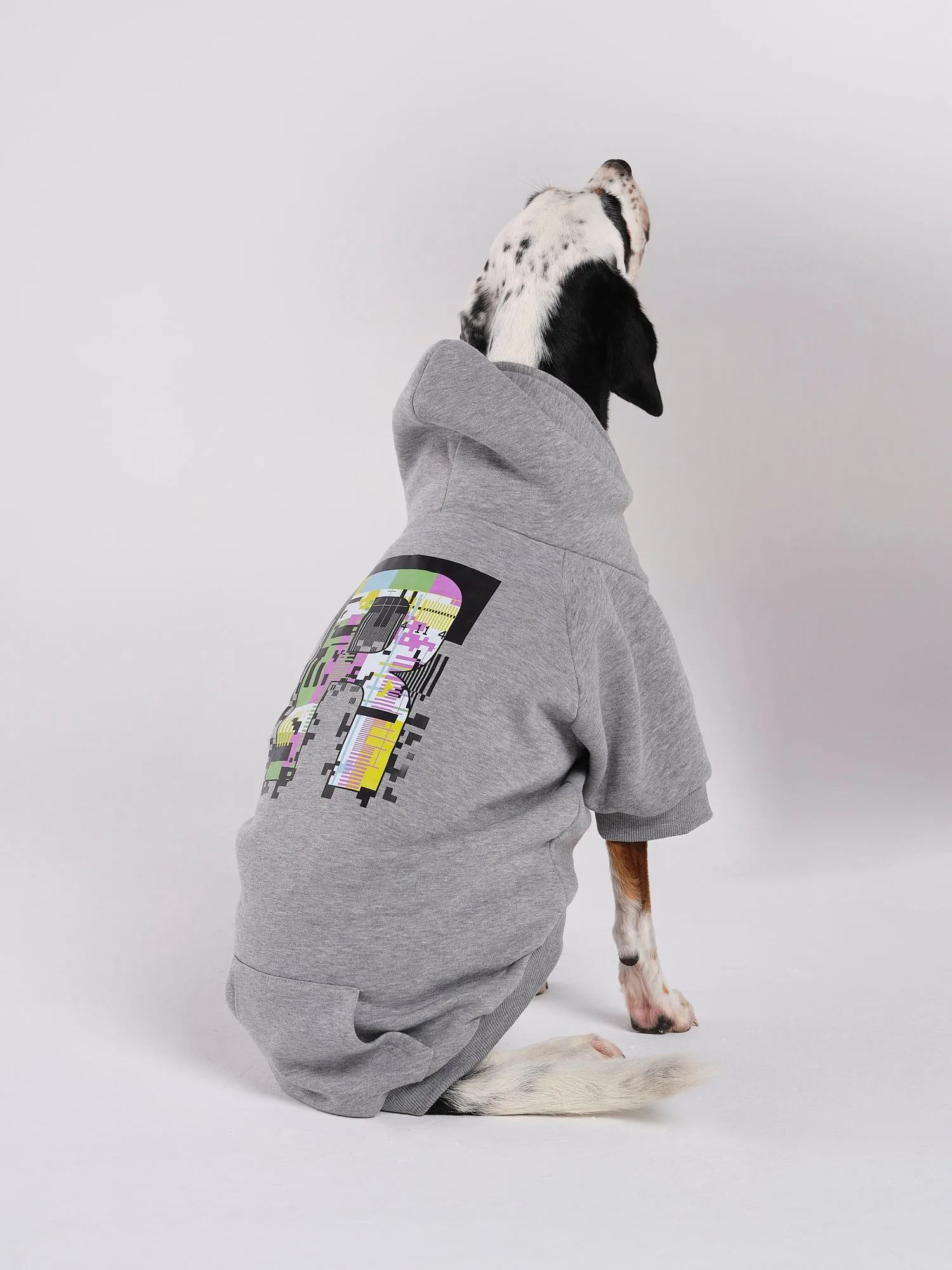 Hoodie für Hund in Grau Poppy